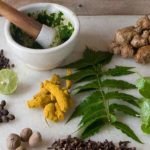 IMPROVING THE FUNCTIONING OF THE DIGESTIVE SYSTEM THROUGH AYURVEDA