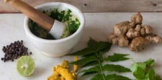 IMPROVING THE FUNCTIONING OF THE DIGESTIVE SYSTEM THROUGH AYURVEDA