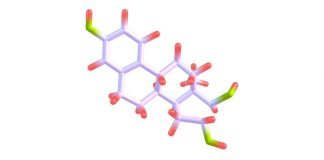 What is the Hormonal agent Ghrelin and How is It Affecting Your Weight?