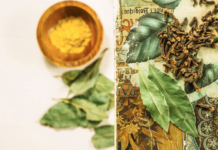 Mitragynine Explained: The Primary Alkaloid Powering Modern Kratom Formulations