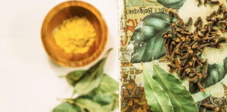 Mitragynine Explained: The Primary Alkaloid Powering Modern Kratom Formulations