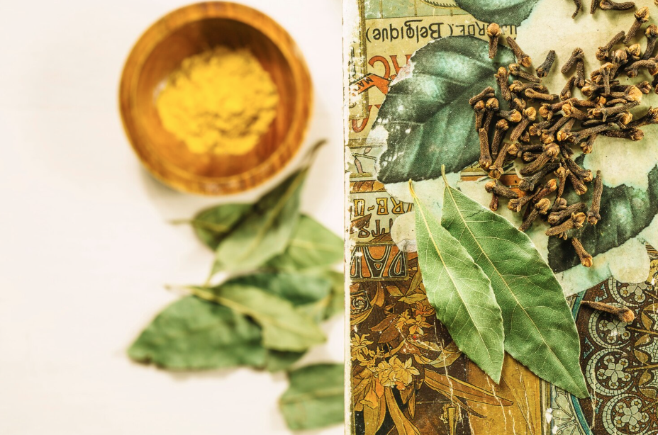 Mitragynine Explained: The Primary Alkaloid Powering Modern Kratom Formulations