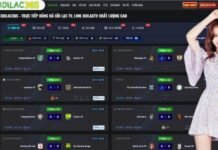 The Digital Frontier of Modern Football Consumption and Real Time News The Importance of Constant Information Cycles