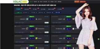 The Digital Frontier of Modern Football Consumption and Real Time News The Importance of Constant Information Cycles