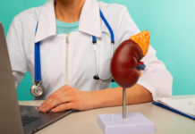 Accompaniments for kidney function that fit everyday support needs