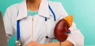 Accompaniments for kidney function that fit everyday support needs