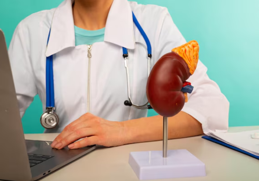 Accompaniments for kidney function that fit everyday support needs